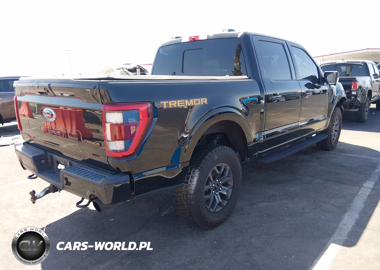 2023 Ford F-150 Tremor VIN:1FTEW1E87PFA10525 - 4