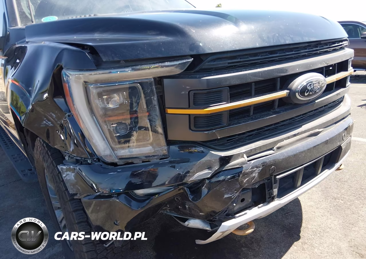2023 Ford F-150 Tremor VIN:1FTEW1E87PFA10525 - 6