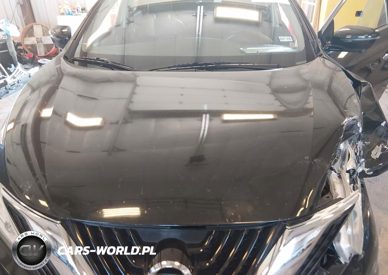 2016 Nissan Murano Sl VIN:5N1AZ2MG6GN158770 - 10
