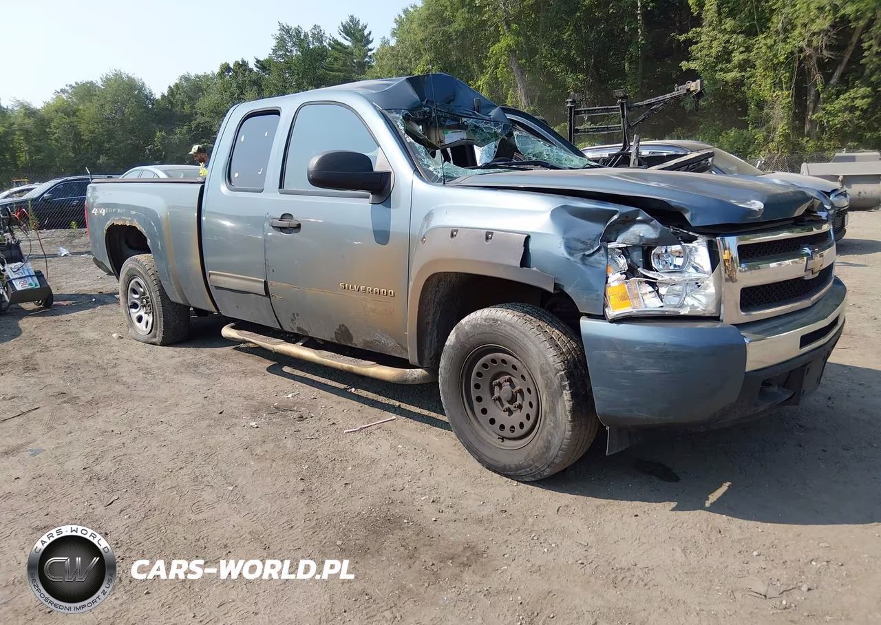 2010 Chevrolet Silverado 1500 Ls