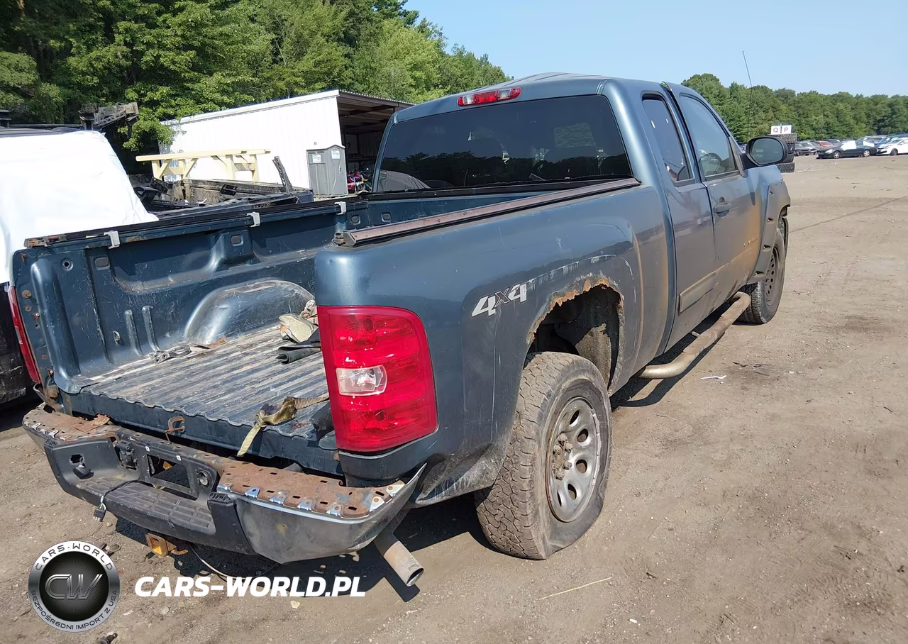 2010 Chevrolet Silverado 1500 Ls VIN:1GCSKREA4AZ264571 - 4