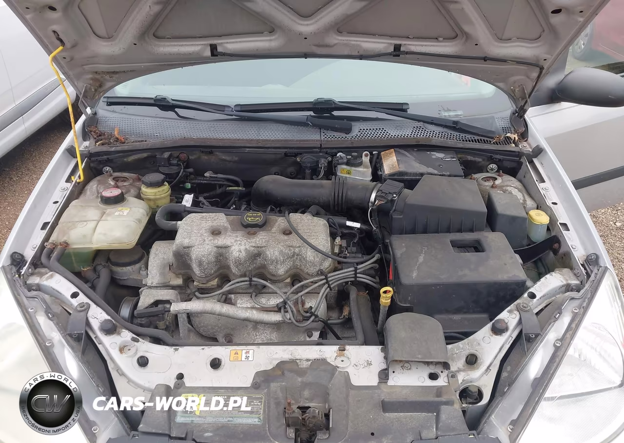 2002 Ford Focus Lx Base-Lx Premium VIN:1FAFP33P12W265581 - 10