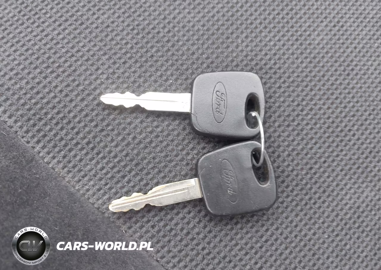 2002 Ford Focus Lx Base-Lx Premium VIN:1FAFP33P12W265581 - 11