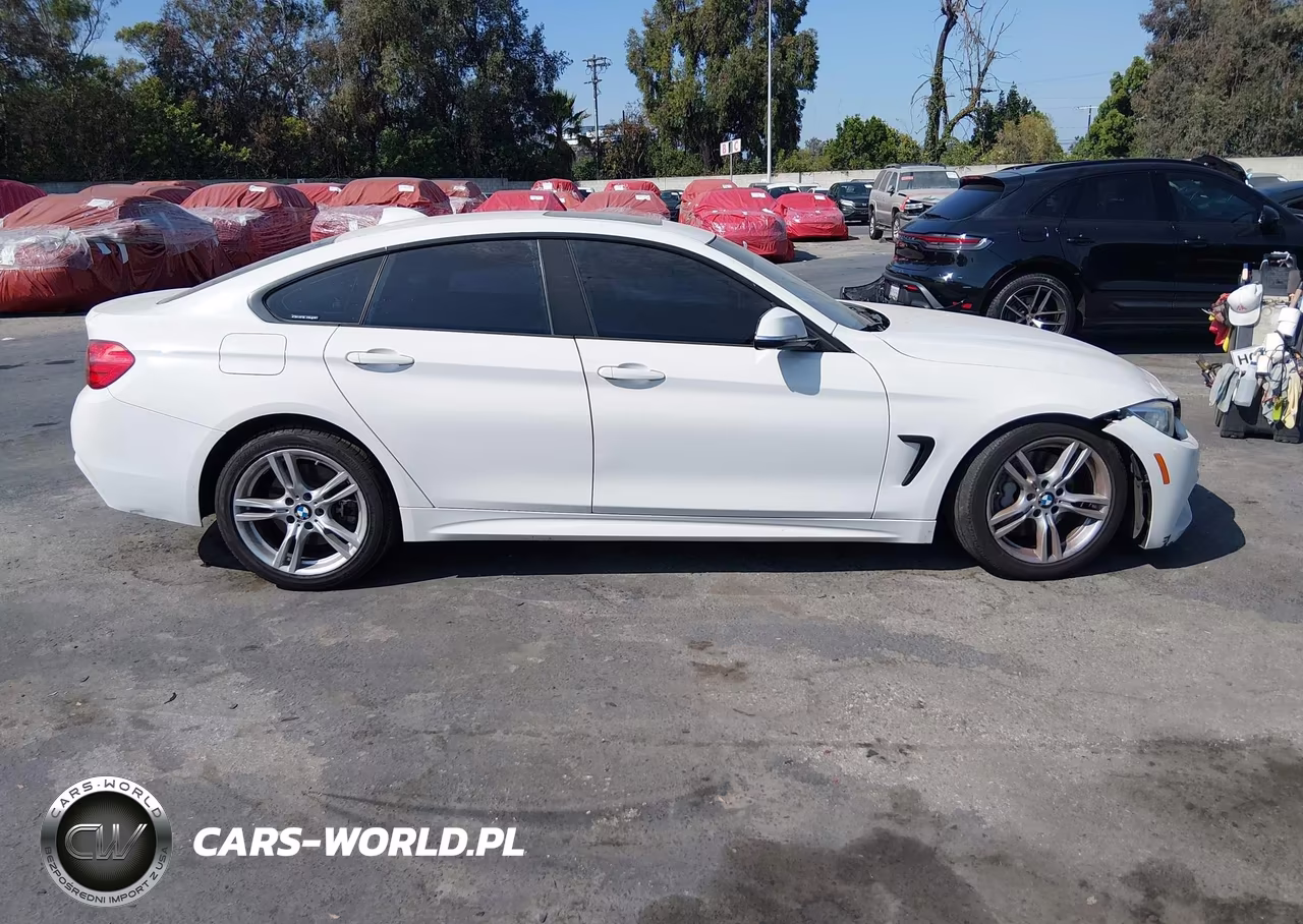 2017 BMW 430I Gran Coupe VIN:WBA4F7C56HG438313 - 13