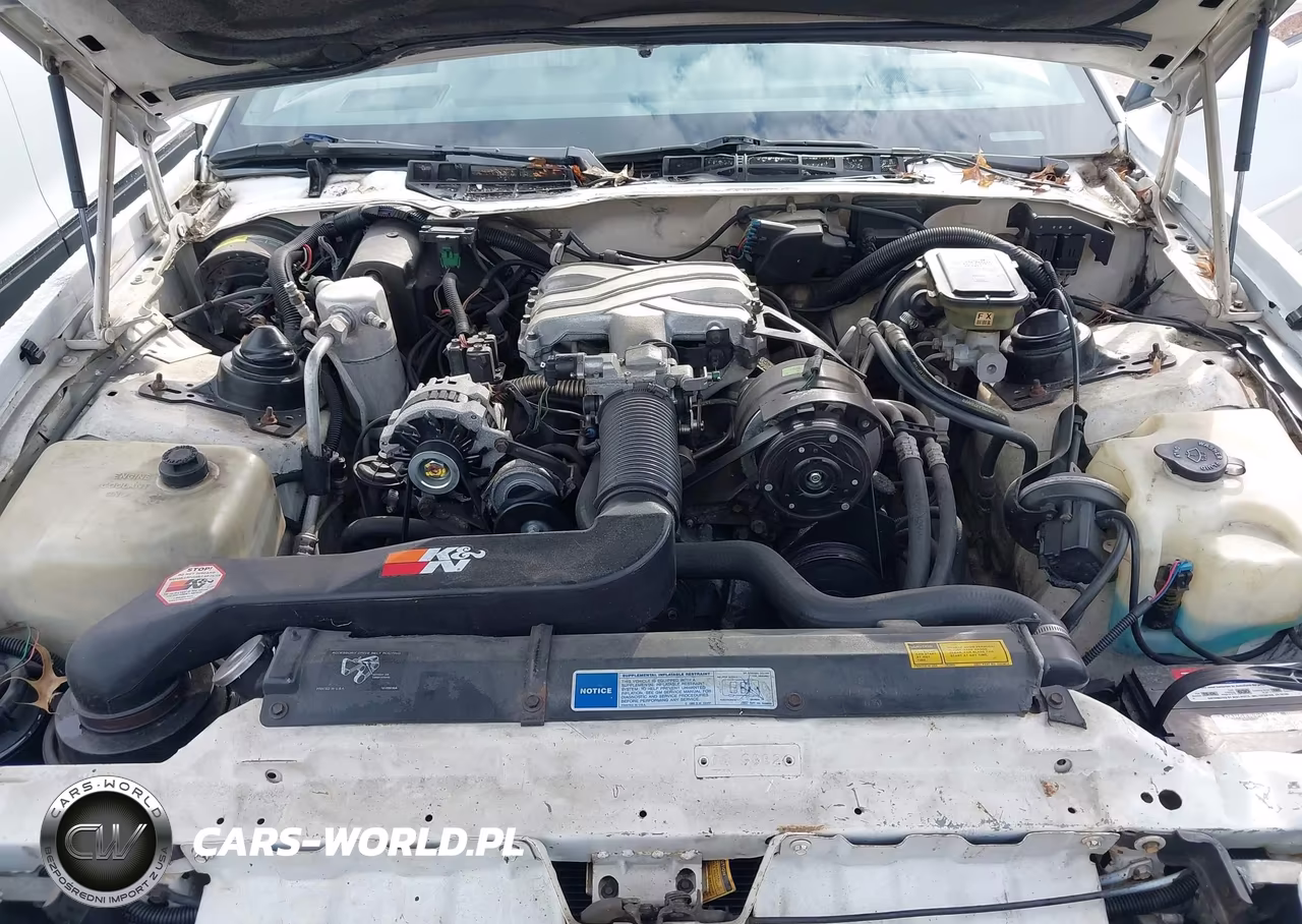 1991 Pontiac Firebird VIN:1G2FS23T5ML219146 - 10