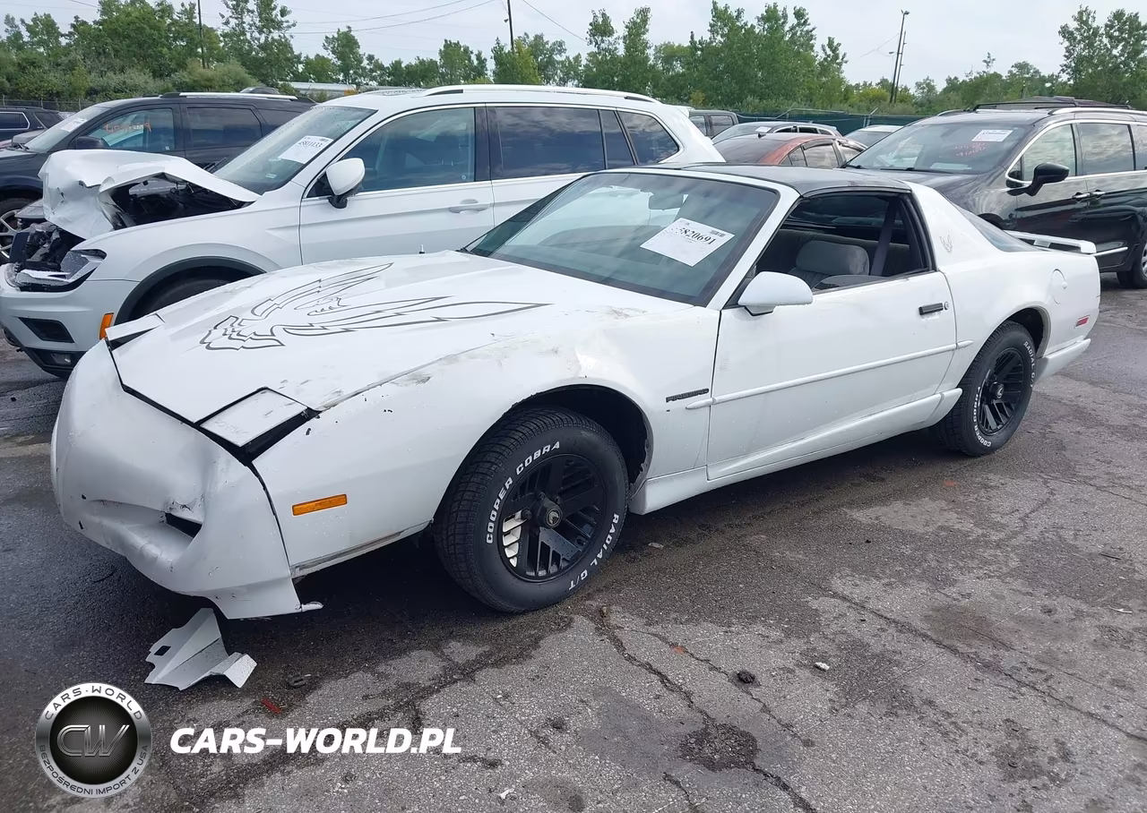 1991 Pontiac Firebird VIN:1G2FS23T5ML219146 - 2