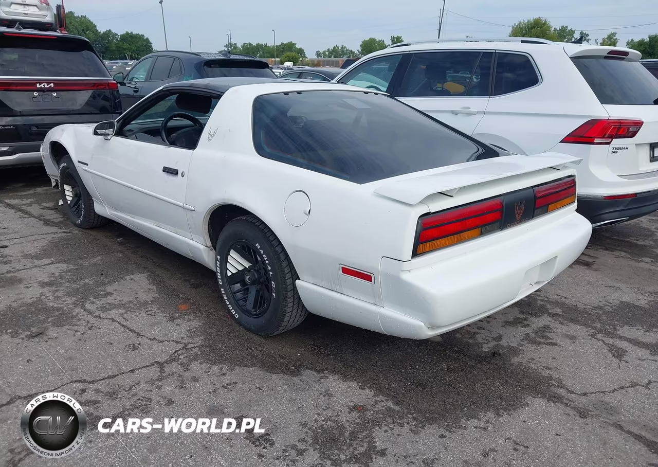 1991 Pontiac Firebird VIN:1G2FS23T5ML219146 - 3