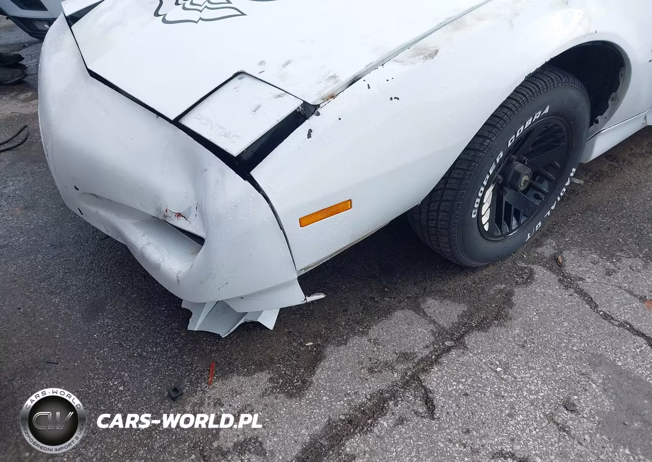 1991 Pontiac Firebird VIN:1G2FS23T5ML219146 - 6