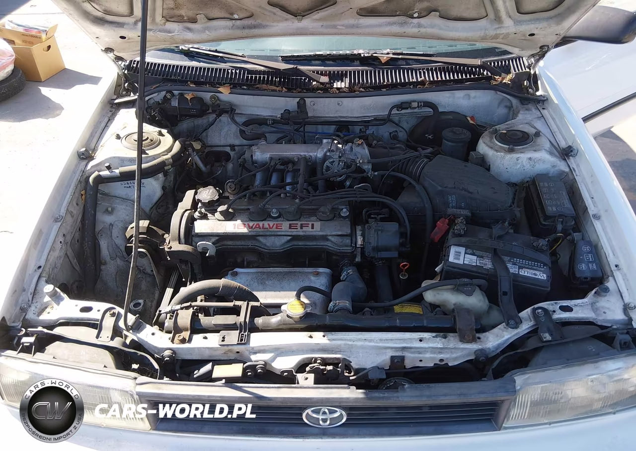 1991 Toyota Corolla Dlx VIN:1NXAE94AXMZ175945 - 10