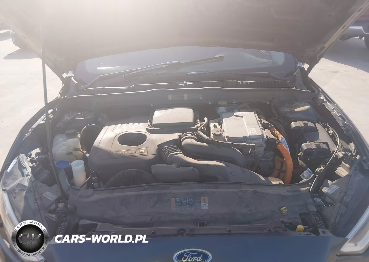 2019 Ford Fusion Hybrid Titanium VIN:3FA6P0RU2KR273199 - 10