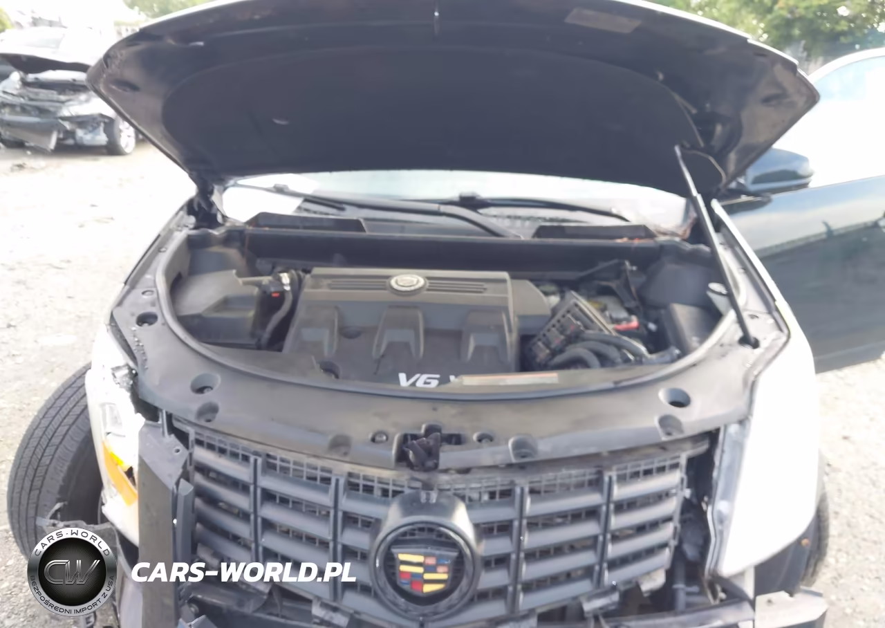 2016 Cadillac Srx Luxury Collection VIN:3GYFNEE33GS562130 - 10