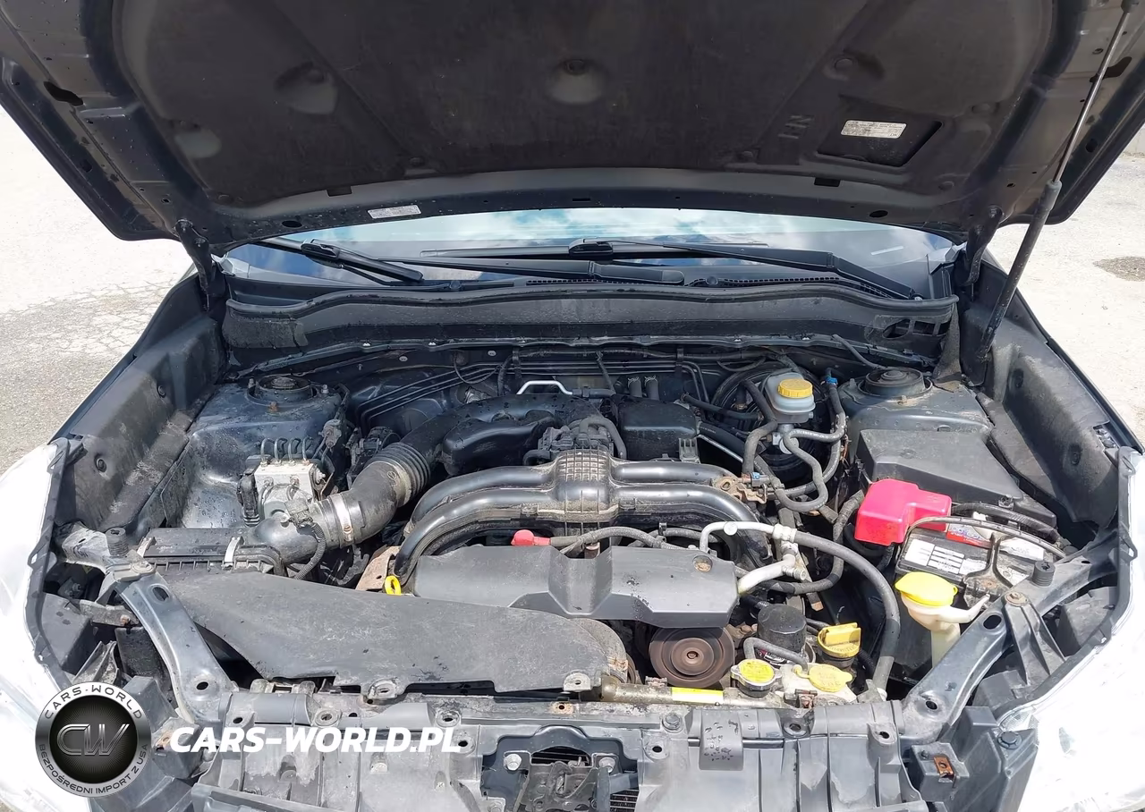 2016 Subaru Forester 2.5I VIN:JF2SJAAC0GG536390 - 10