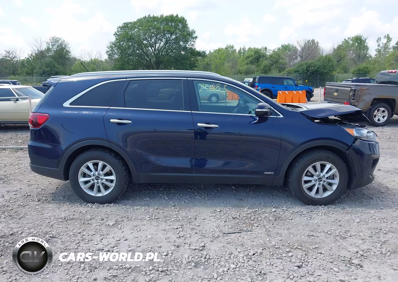 2020 Kia Sorento 2.4L Lx VIN:5XYPGDA36LG670113 - 13