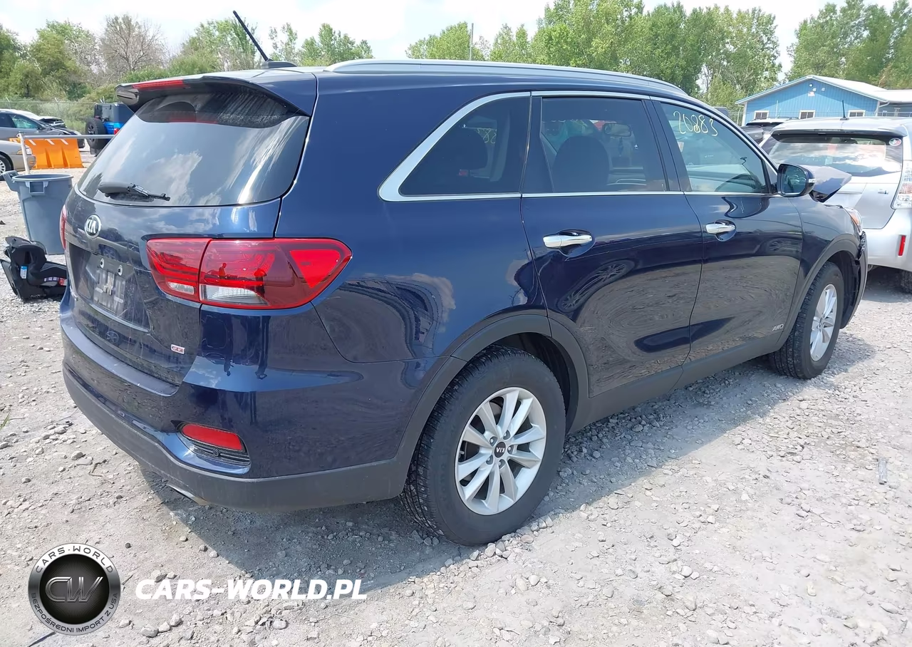 2020 Kia Sorento 2.4L Lx VIN:5XYPGDA36LG670113 - 4
