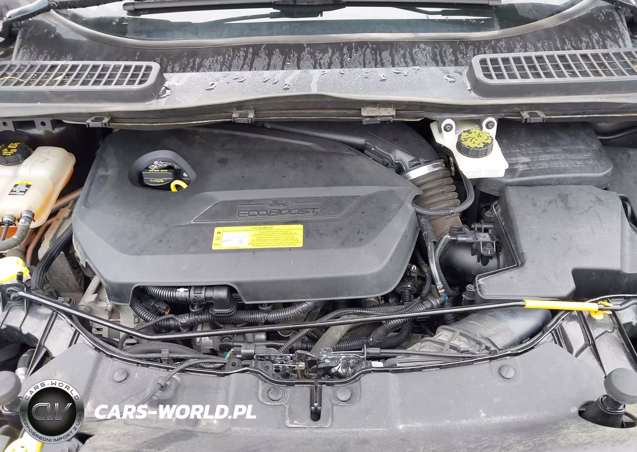 2013 Ford Escape Sel VIN:1FMCU0HX3DUD57363 - 10
