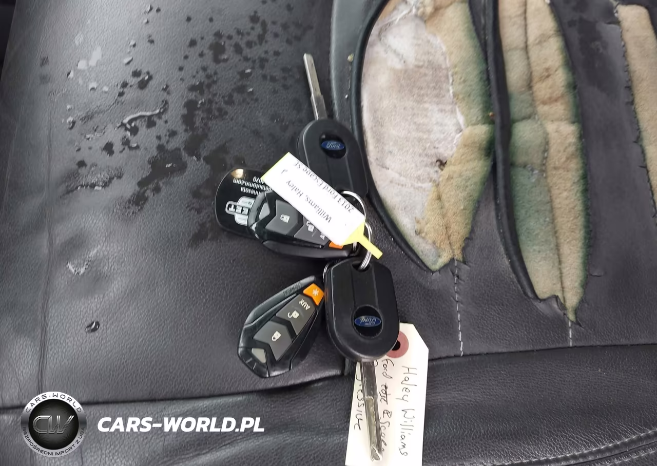 2013 Ford Escape Sel VIN:1FMCU0HX3DUD57363 - 11