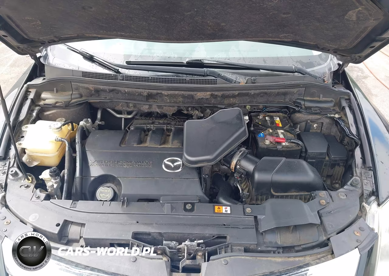 2010 Mazda Cx-9 Touring VIN:JM3TB3MA3A0205719 - 10