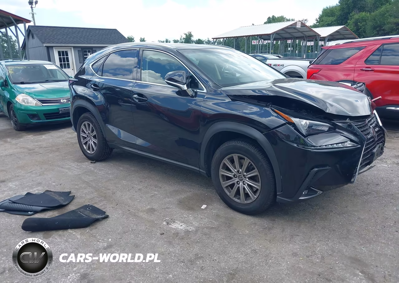 2018 Lexus Nx 300 VIN:JTJBARBZ1J2162860 - 1