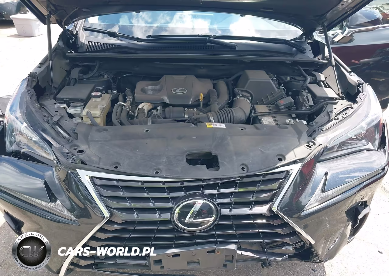 2018 Lexus Nx 300 VIN:JTJBARBZ1J2162860 - 10