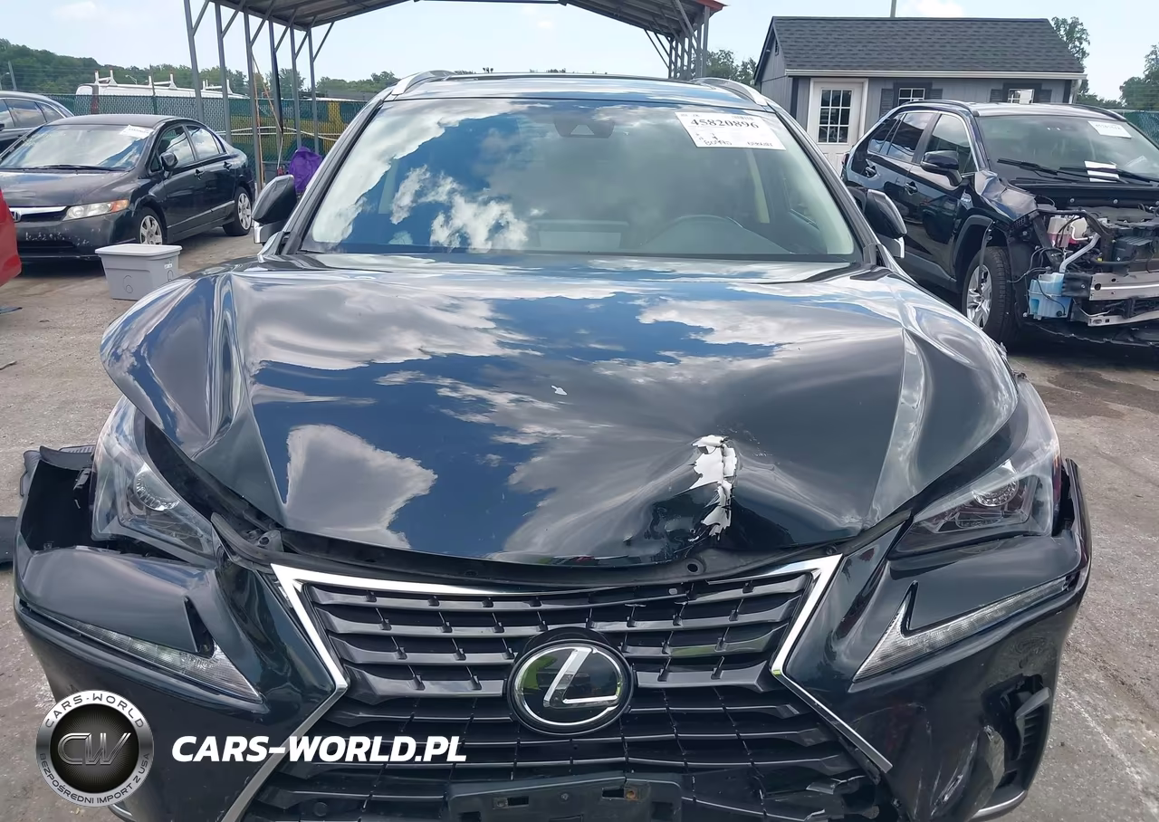 2018 Lexus Nx 300 VIN:JTJBARBZ1J2162860 - 12