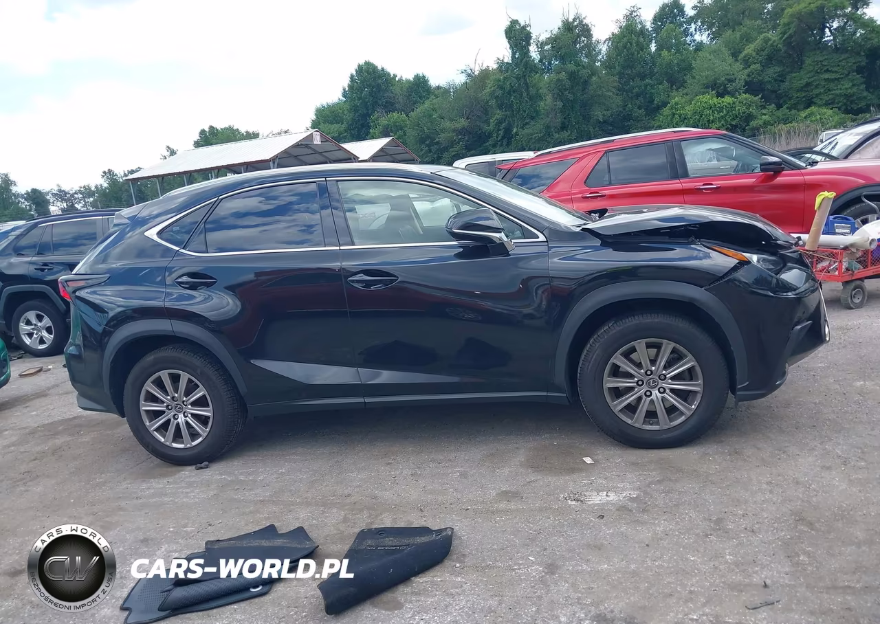 2018 Lexus Nx 300 VIN:JTJBARBZ1J2162860 - 13