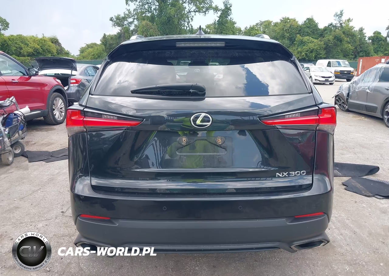 2018 Lexus Nx 300 VIN:JTJBARBZ1J2162860 - 16