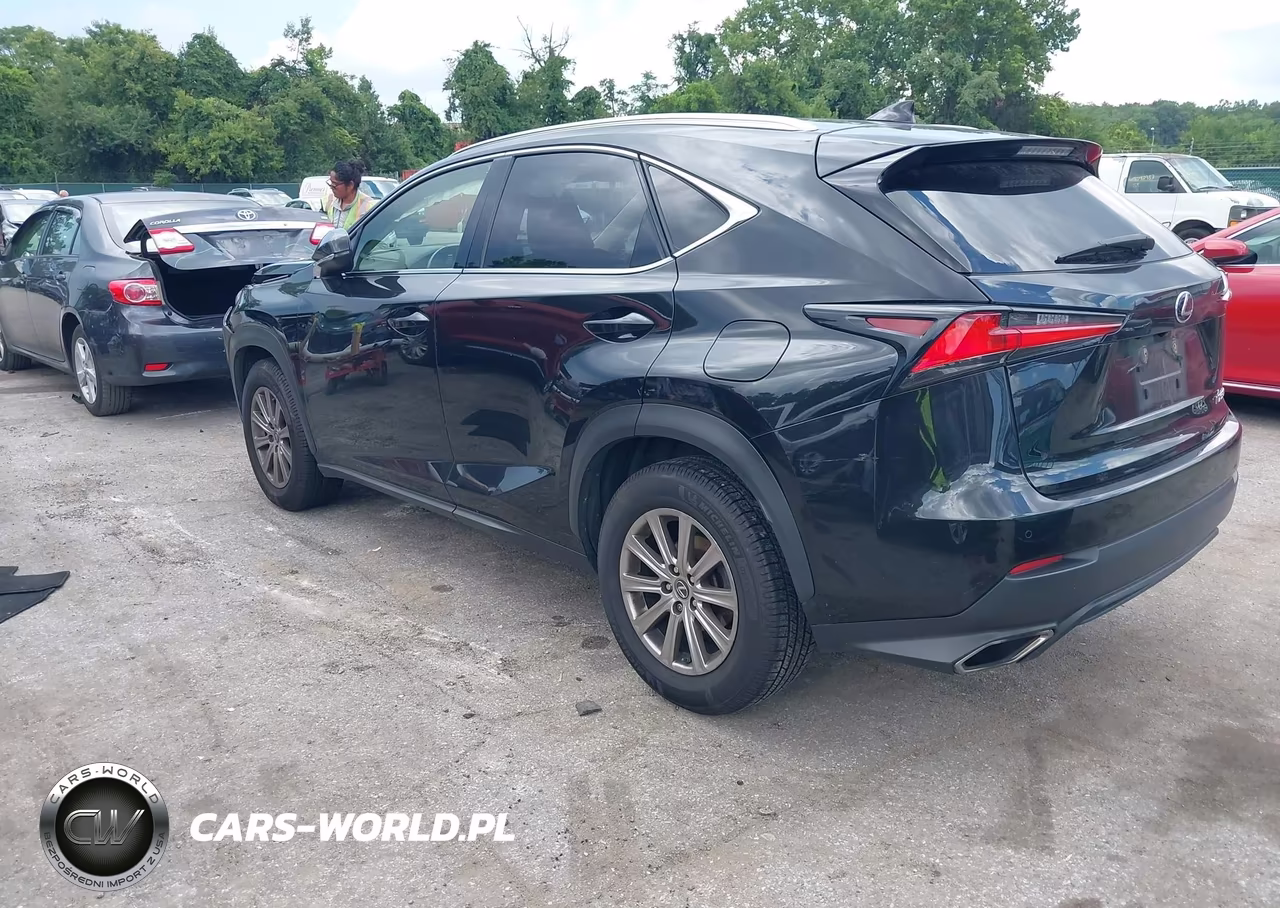 2018 Lexus Nx 300 VIN:JTJBARBZ1J2162860 - 3