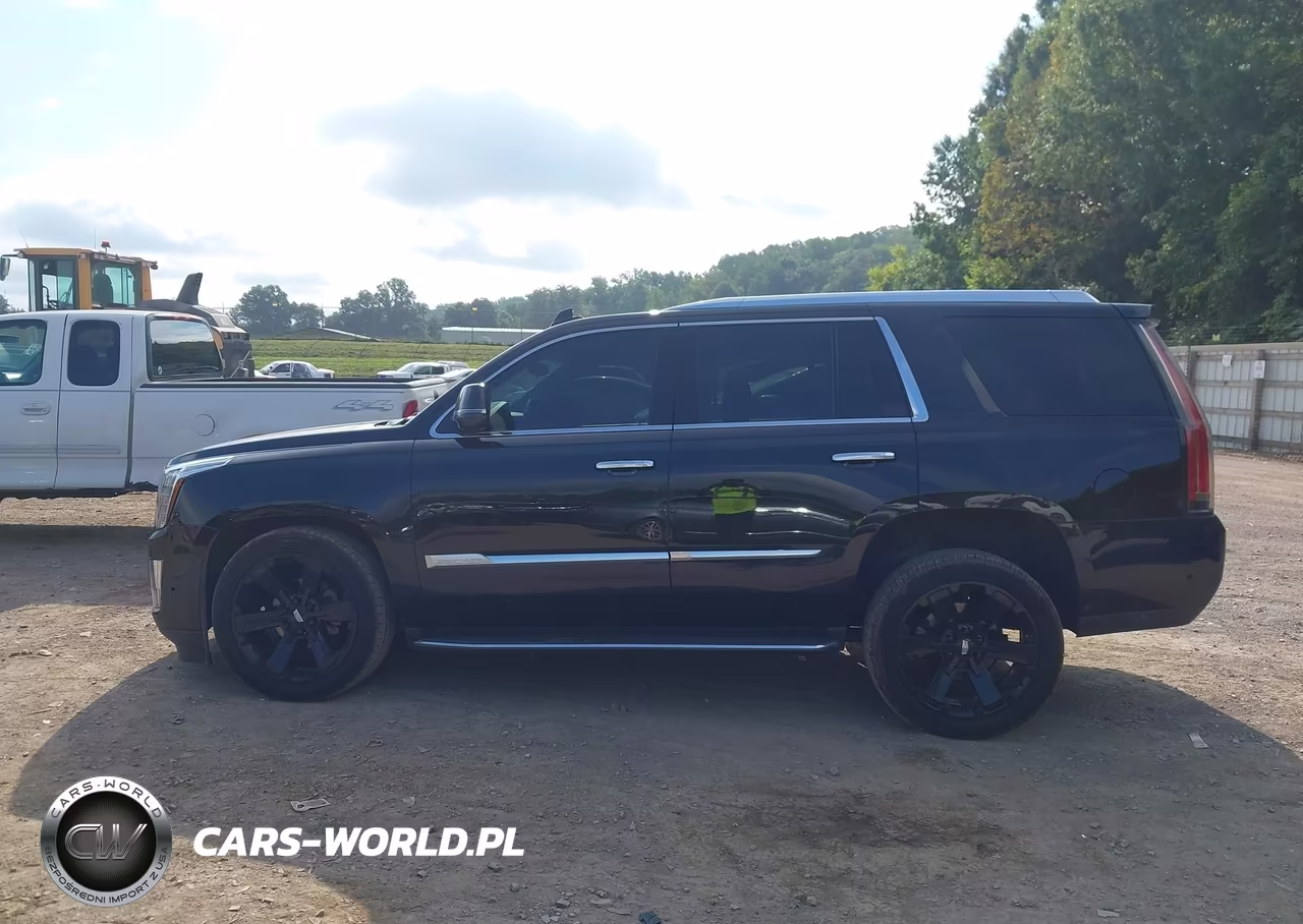2018 Cadillac Escalade Luxury VIN:1GYS4BKJ1JR337878 - 14