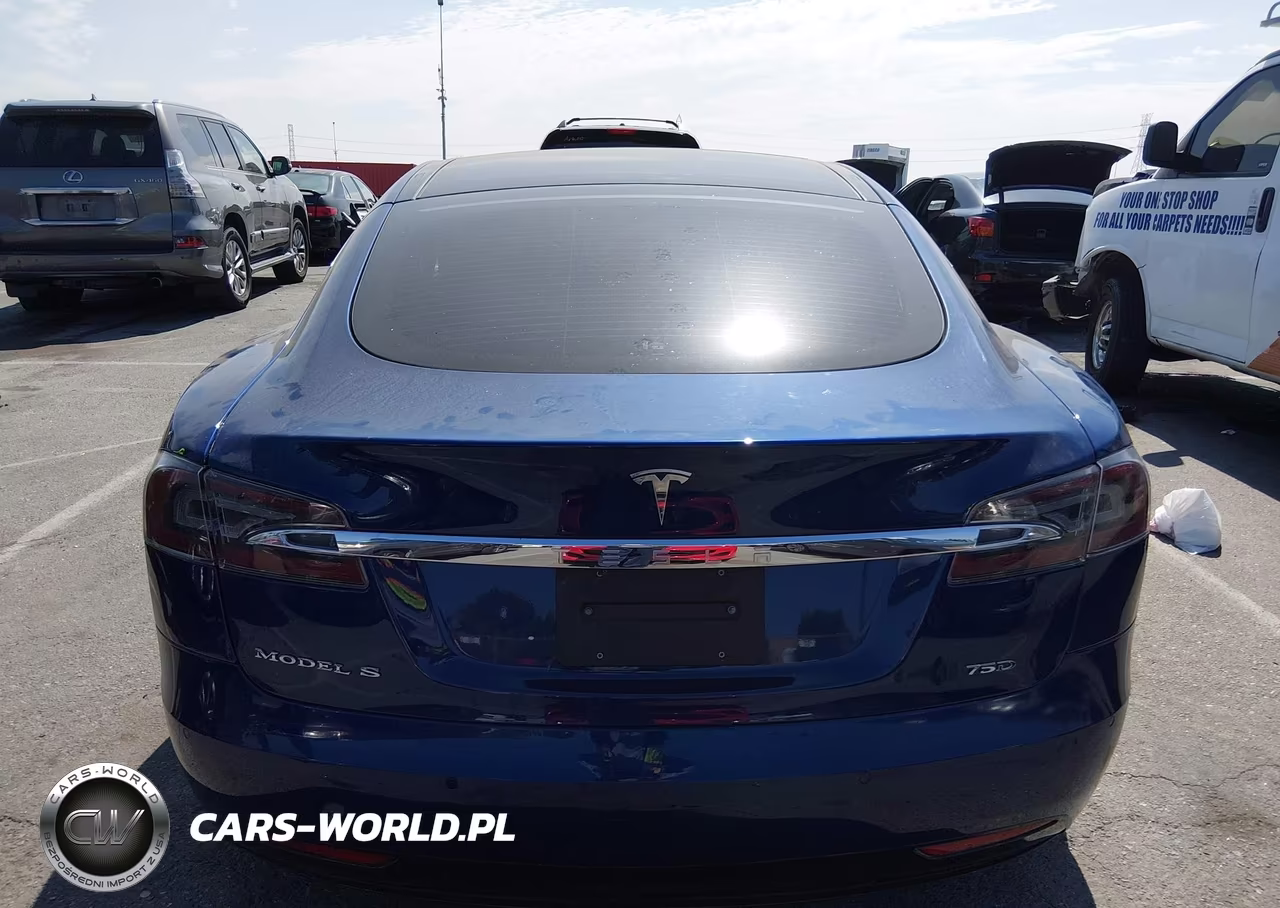 2017 Tesla Model S 100D-60D-75D-90D-P100D VIN:5YJSA1E24HF187813 - 16