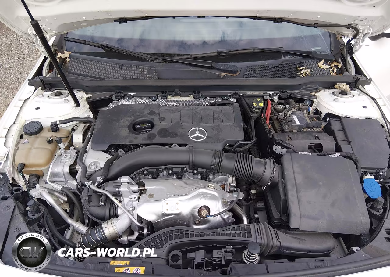 2019 Mercedes-Benz A 220 VIN:WDD3G4EB5KW033009 - 10