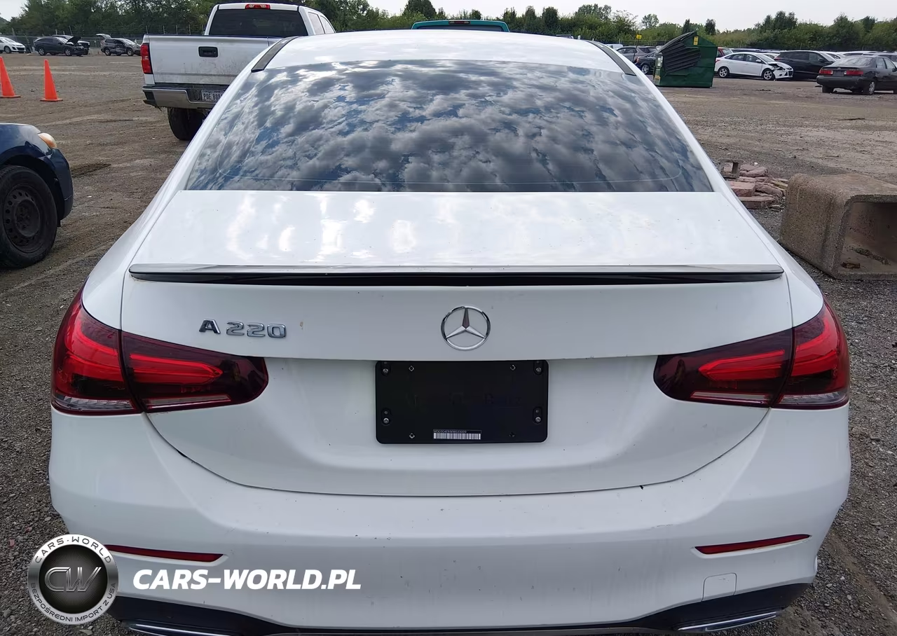 2019 Mercedes-Benz A 220 VIN:WDD3G4EB5KW033009 - 16
