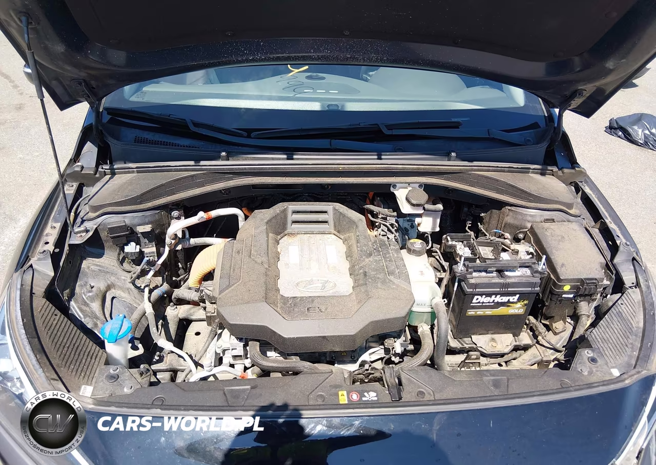 2019 Hyundai Ioniq Electric VIN:KMHC75LH3KU045657 - 10