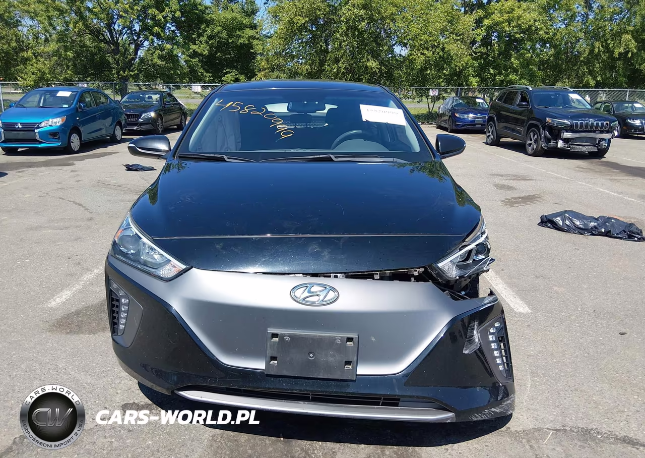 2019 Hyundai Ioniq Electric VIN:KMHC75LH3KU045657 - 12