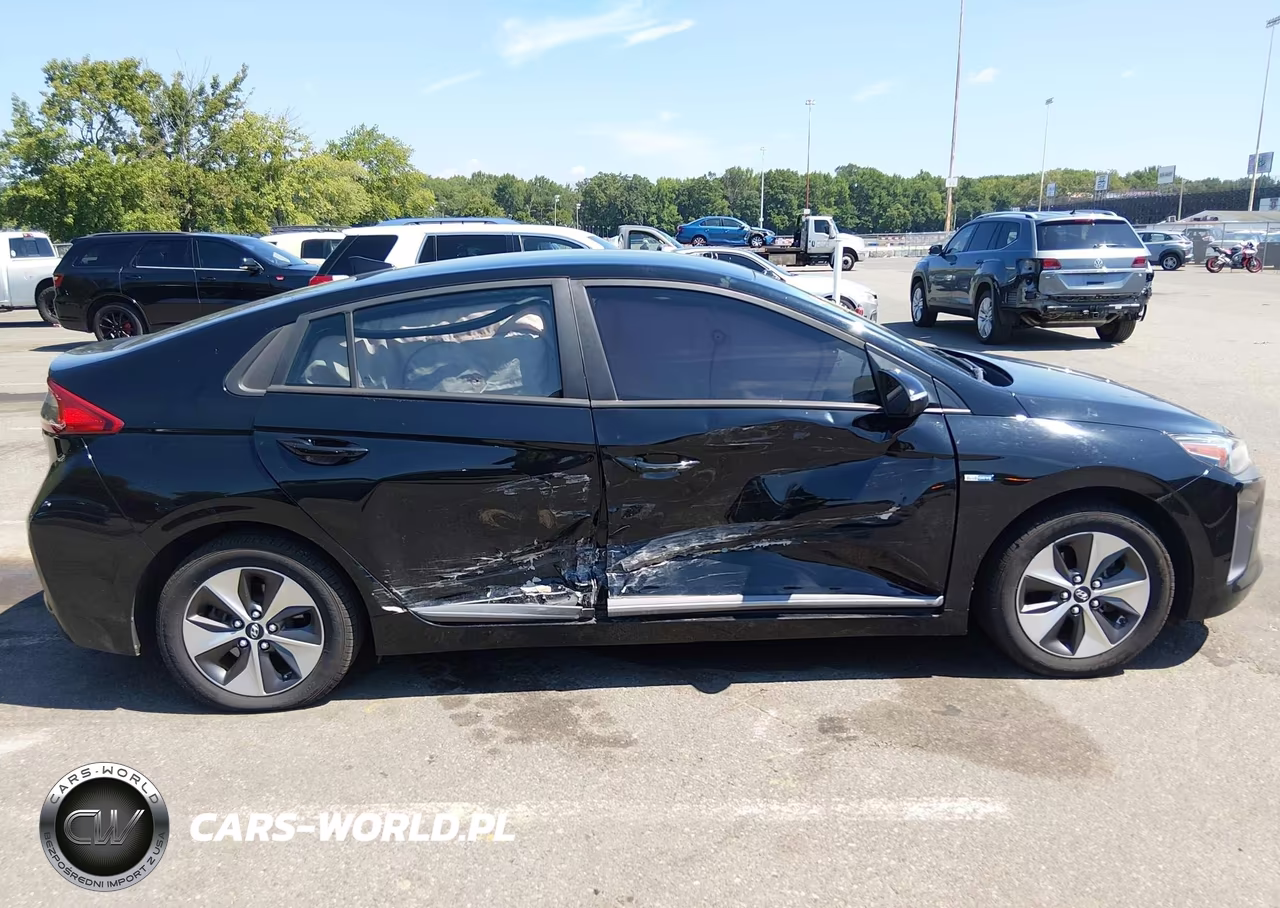 2019 Hyundai Ioniq Electric VIN:KMHC75LH3KU045657 - 13