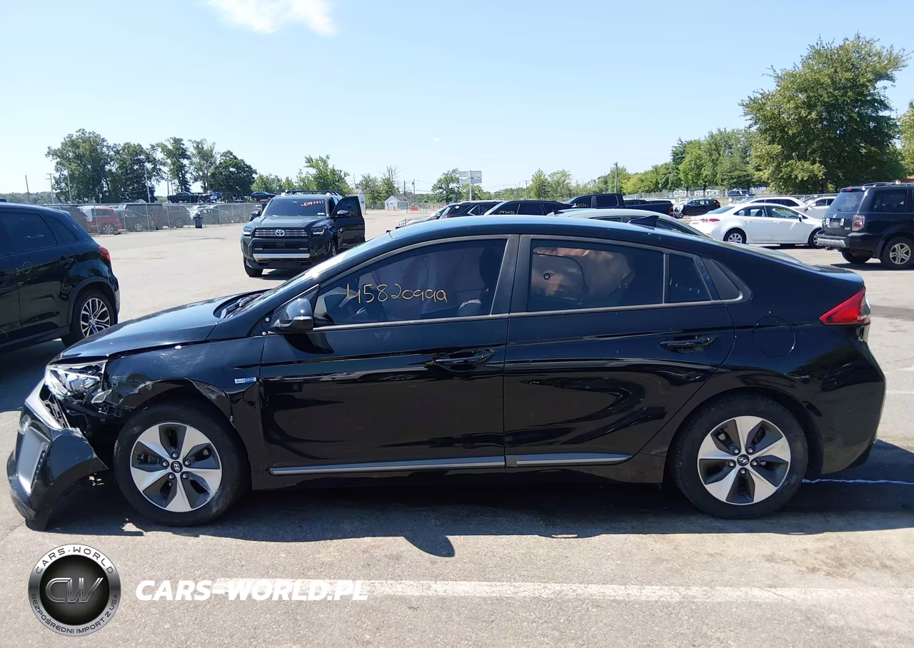 2019 Hyundai Ioniq Electric VIN:KMHC75LH3KU045657 - 14