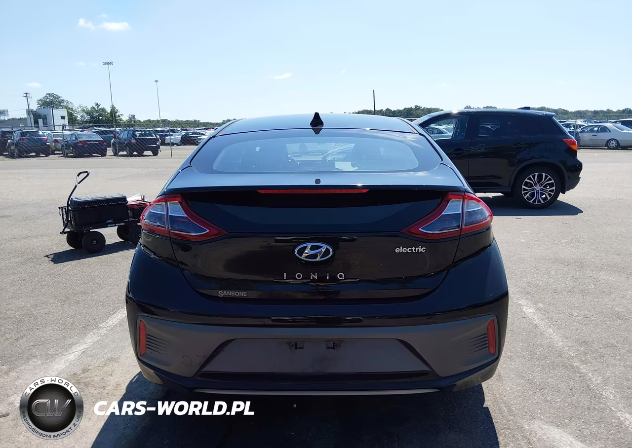 2019 Hyundai Ioniq Electric VIN:KMHC75LH3KU045657 - 16