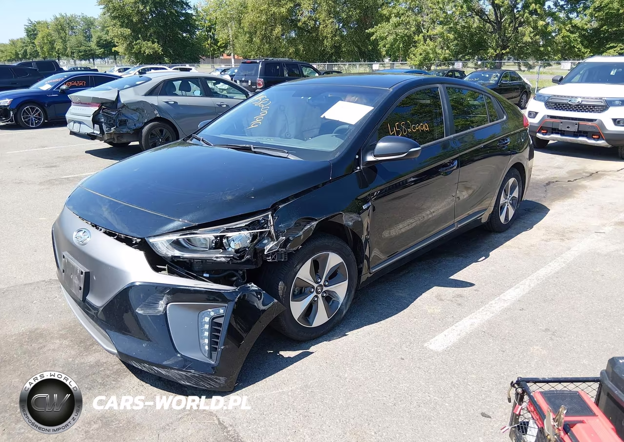 2019 Hyundai Ioniq Electric VIN:KMHC75LH3KU045657 - 2