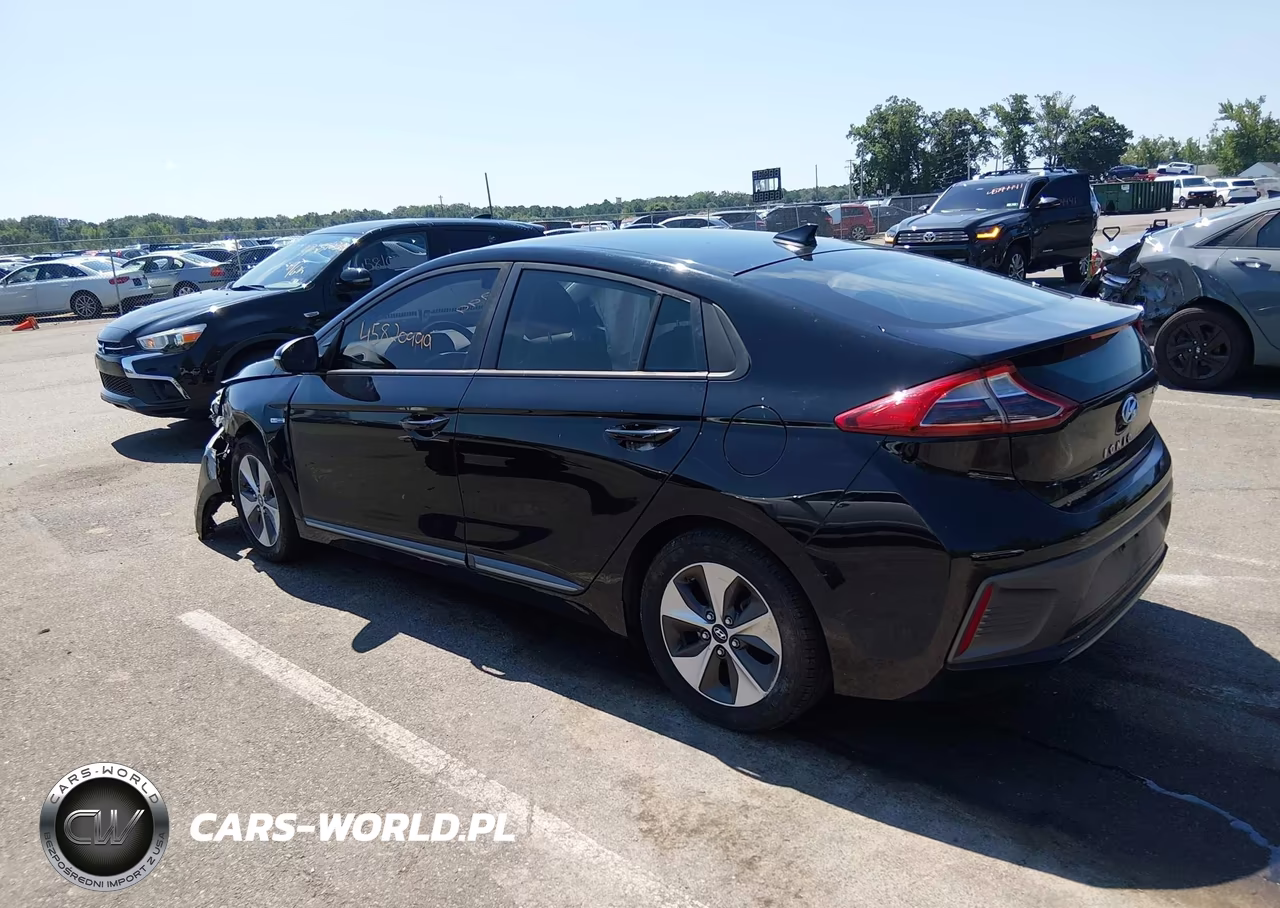 2019 Hyundai Ioniq Electric VIN:KMHC75LH3KU045657 - 3
