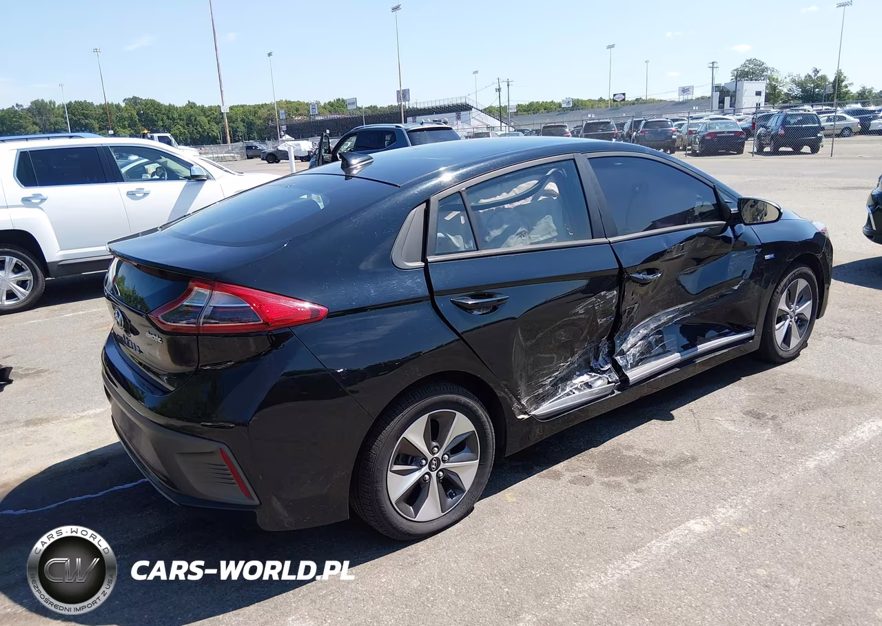 2019 Hyundai Ioniq Electric VIN:KMHC75LH3KU045657 - 4