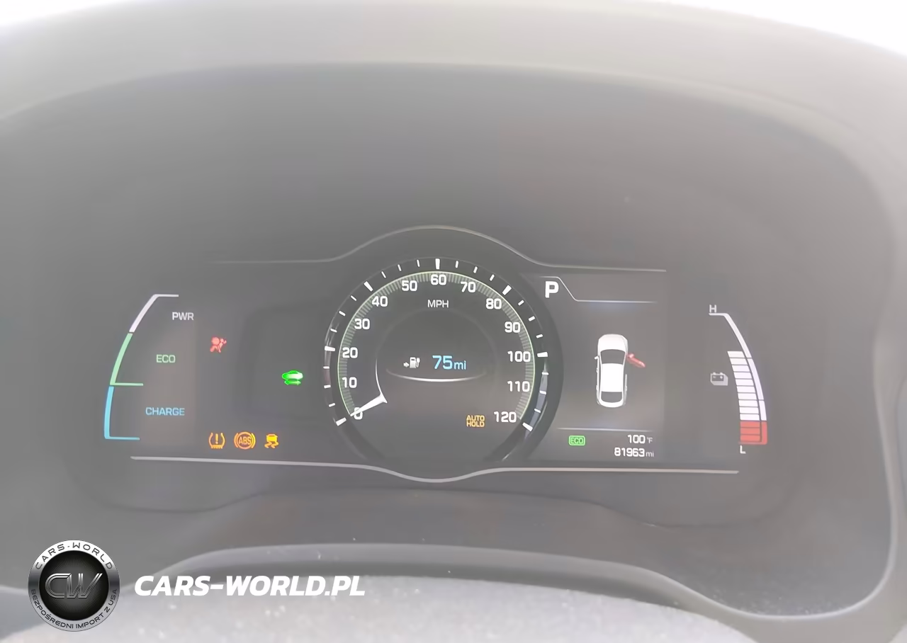 2019 Hyundai Ioniq Electric VIN:KMHC75LH3KU045657 - 7