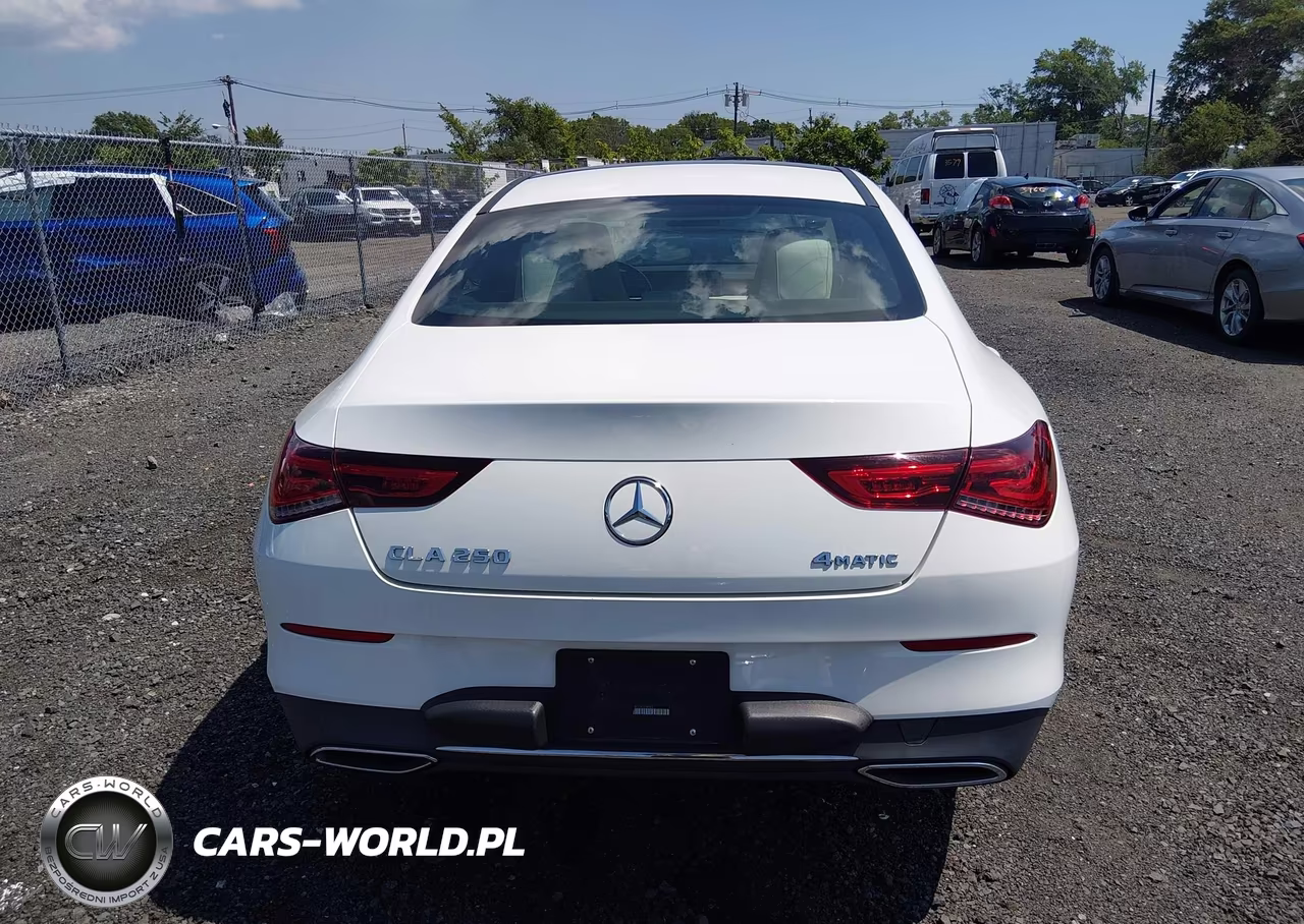 2020 Mercedes-Benz Cla 250 4Matic VIN:WDD5J4HB1LN079045 - 16