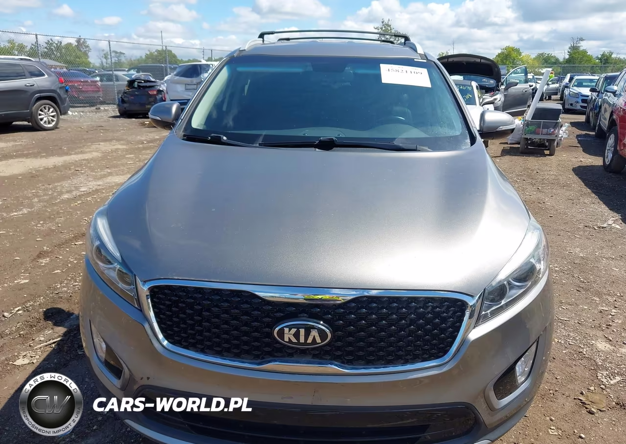 2016 Kia Sorento 3.3L Ex VIN:5XYPHDA56GG114727 - 6