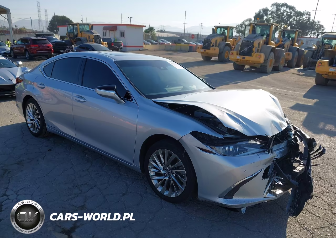 2019 Lexus Es 300H Luxury