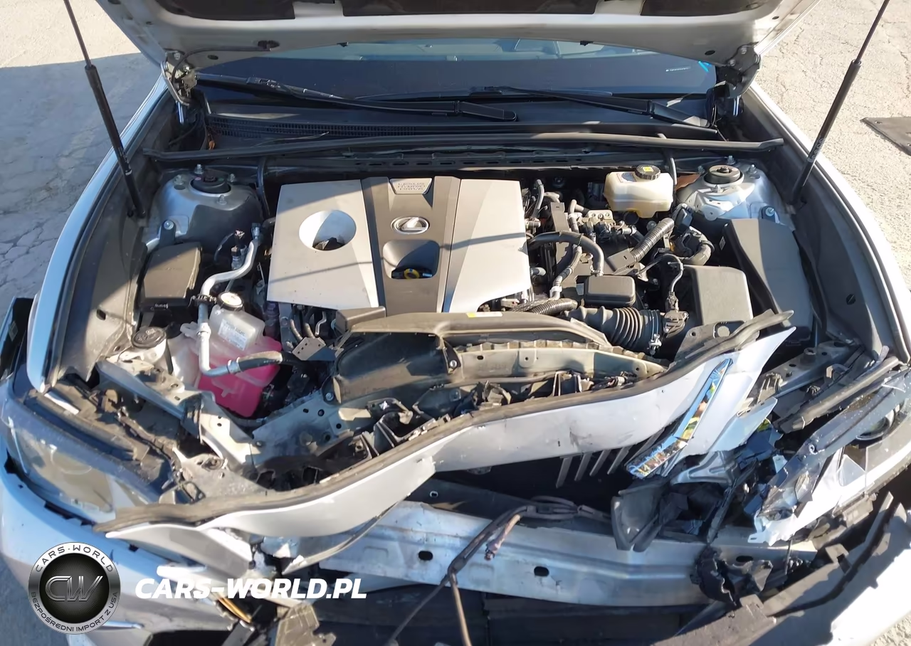 2019 Lexus Es 300H Luxury VIN:JTHB21B17K2026728 - 10
