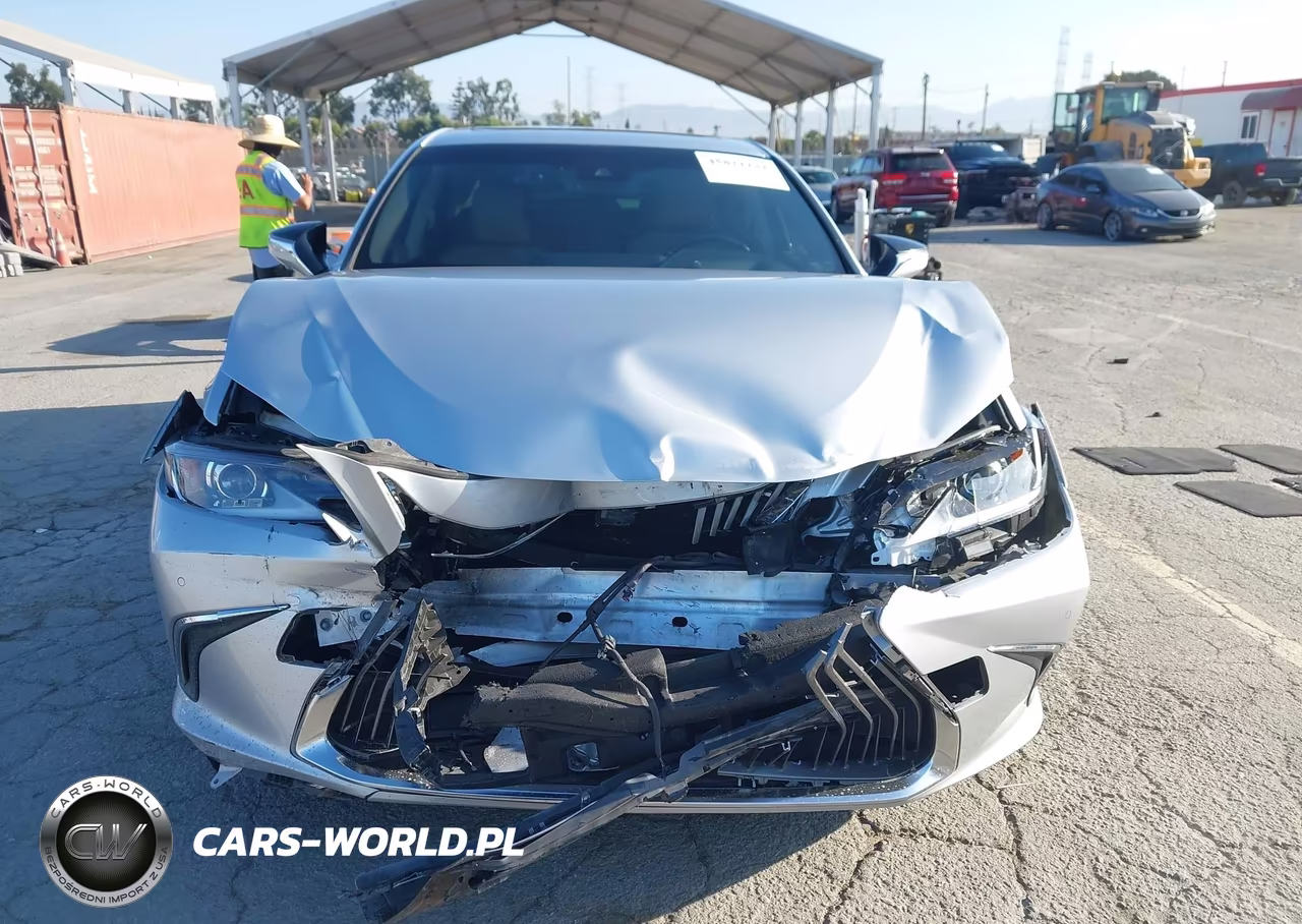 2019 Lexus Es 300H Luxury VIN:JTHB21B17K2026728 - 12