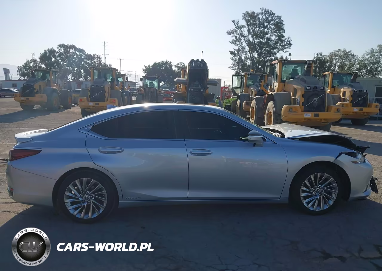2019 Lexus Es 300H Luxury VIN:JTHB21B17K2026728 - 13