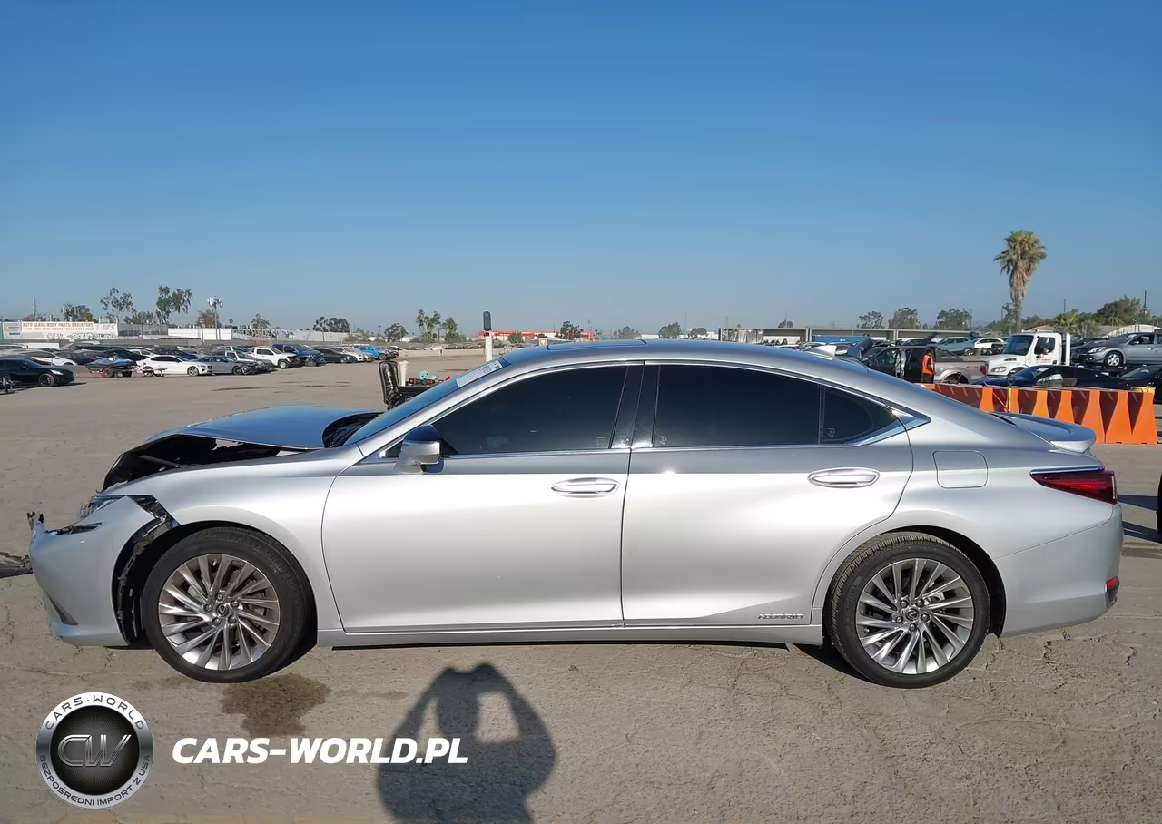2019 Lexus Es 300H Luxury VIN:JTHB21B17K2026728 - 14