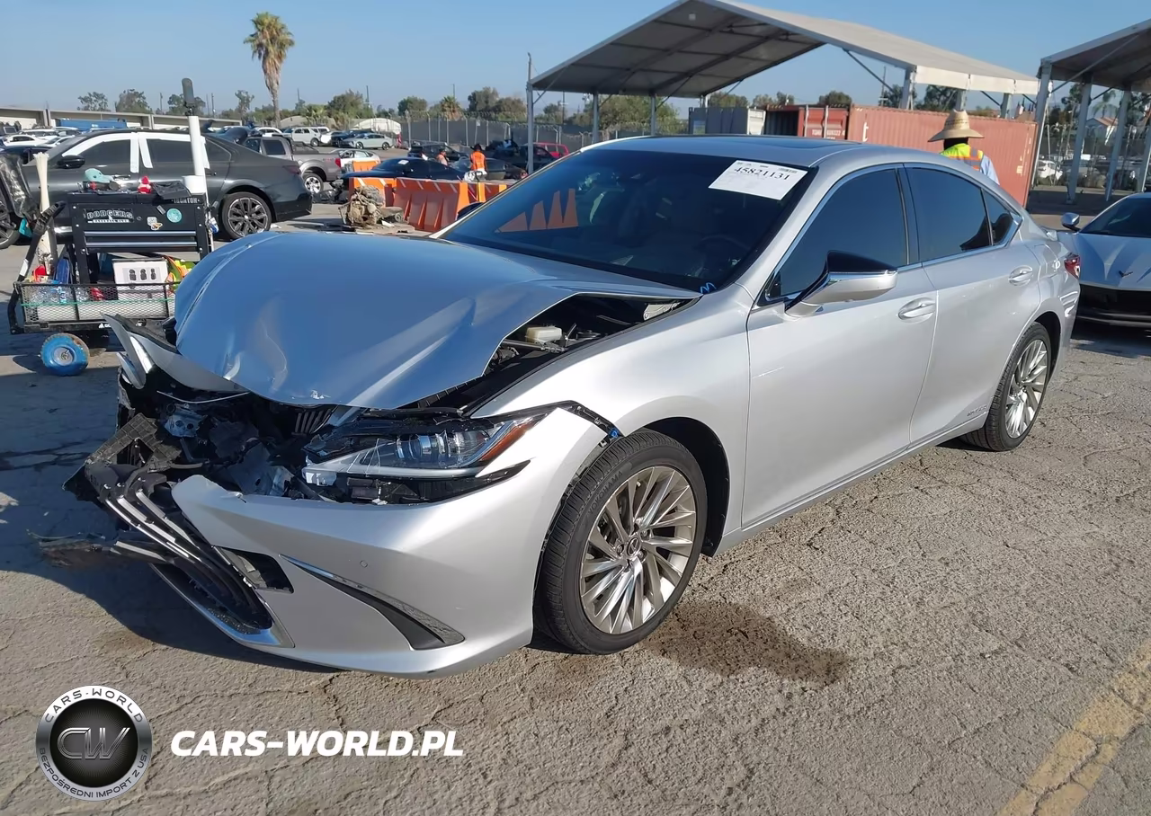 2019 Lexus Es 300H Luxury VIN:JTHB21B17K2026728 - 2