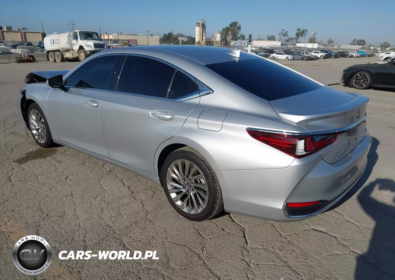 2019 Lexus Es 300H Luxury VIN:JTHB21B17K2026728 - 3