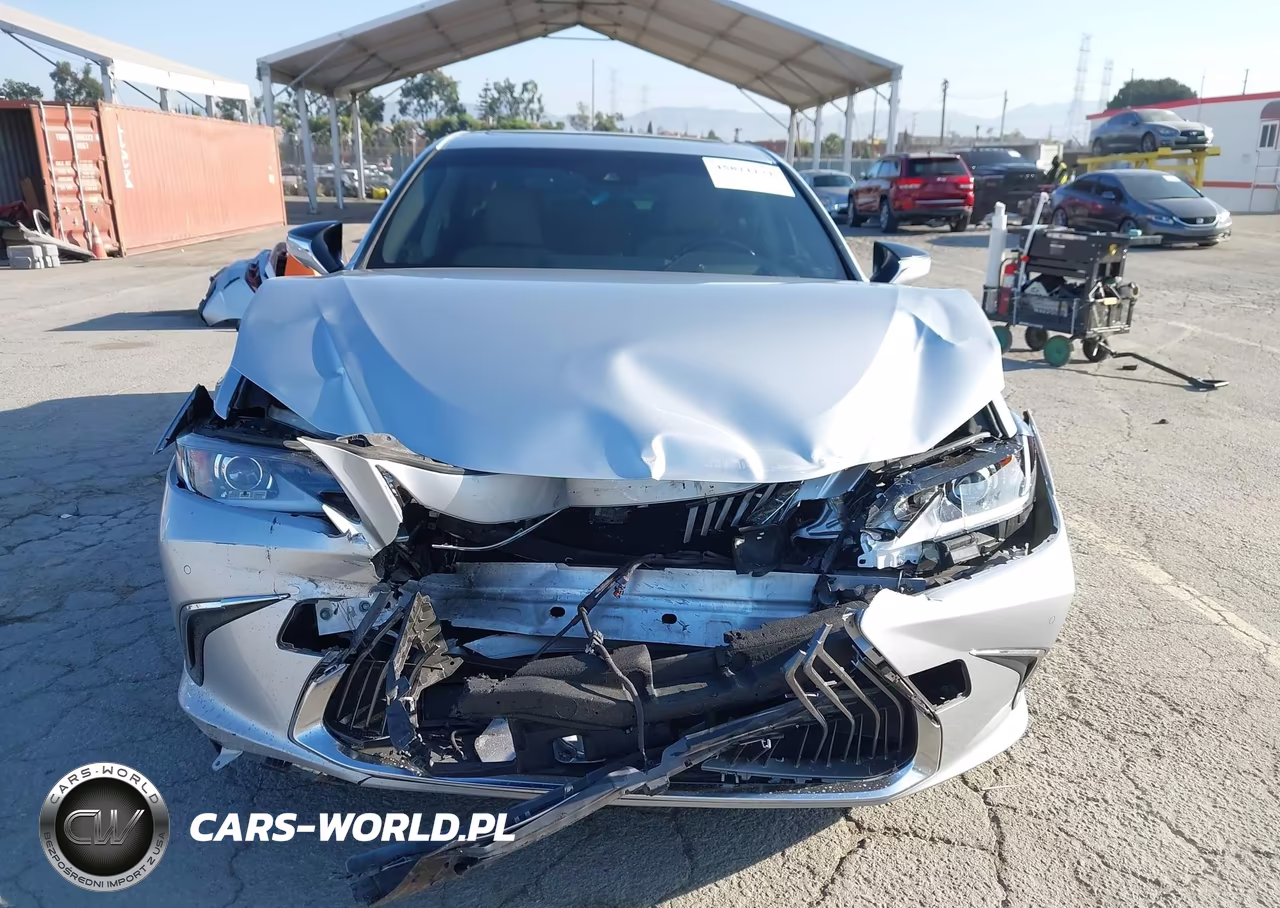 2019 Lexus Es 300H Luxury VIN:JTHB21B17K2026728 - 6